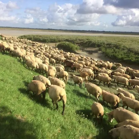 Authentique Maison De Pecheur Entre-terre & Avec Un Poele A Bois A Disposition
