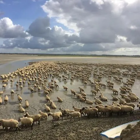 度假居 Authentique Maison De Pecheur Entre-terre & Avec Un Poele A Bois A Disposition *