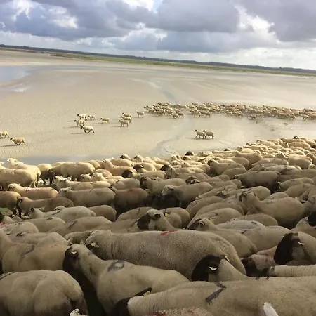 度假居 Authentique Maison De Pecheur Entre-terre & Avec Un Poele A Bois A Disposition *