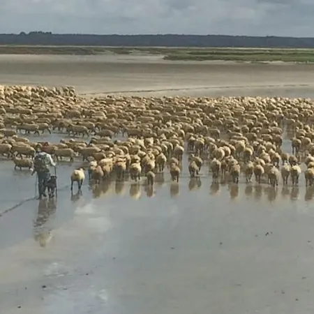 Authentique Maison De Pecheur Entre-terre&mer Avec Un Poêle à Bois A Disposition Hébergement de vacances Saint-Valery-sur-Somme
