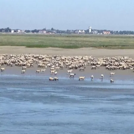 Authentique Maison De Pecheur Entre-terre & Avec Un Poele A Bois A Disposition 索姆河畔的圣瓦列里