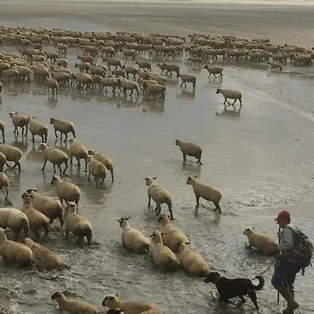 Authentique Maison De Pecheur Entre-terre & Avec Un Poele A Bois A Disposition * 索姆河畔的圣瓦列里