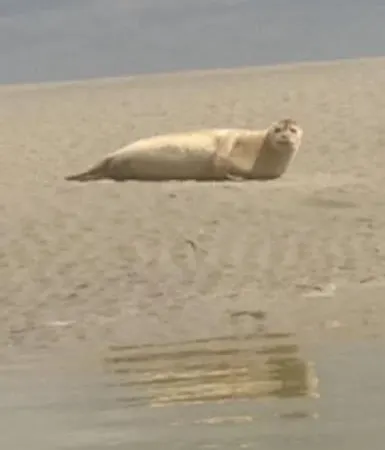 度假居 Authentique Maison De Pecheur Entre-terre & Avec Un Poele A Bois A Disposition