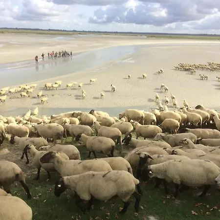 Authentique Maison De Pecheur Entre-terre & Avec Un Poele A Bois A Disposition 度假居