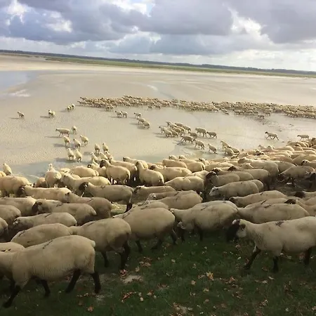 度假居 Authentique Maison De Pecheur Entre-terre & Avec Un Poele A Bois A Disposition *