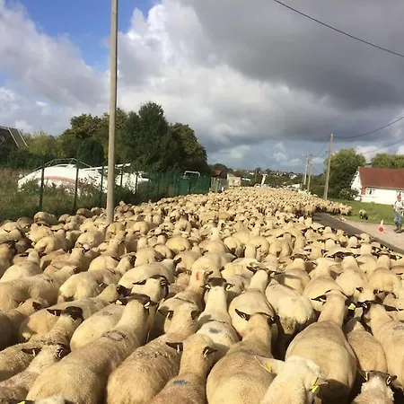 Authentique Maison De Pecheur Entre-terre & Avec Un Poele A Bois A Disposition