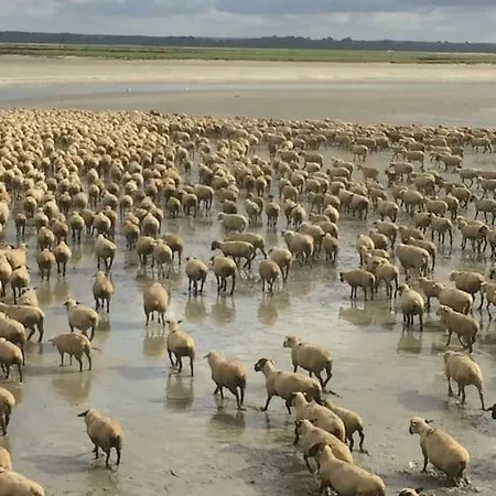 Authentique Maison De Pecheur Entre-terre & Avec Un Poele A Bois A Disposition 索姆河畔的圣瓦列里