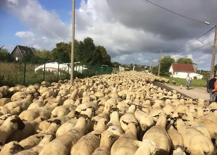 Authentique Maison De Pecheur Entre-terre & Avec Un Poele A Bois A Disposition